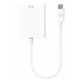 Cabo-iWill-Adaptador-USB-C-para-VGA---1197.jpg