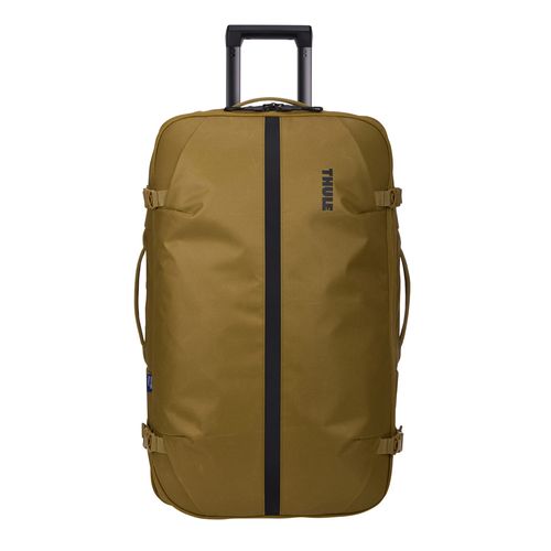 Malanutria1.jpg Malanutria1.jpg